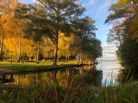Herbstlicher Blick über das Ufer und den Wolziger See